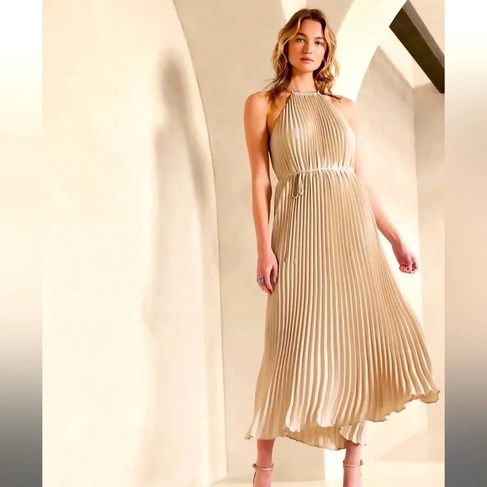 NWT Banana Republic Pleated Halter Maxi Dress Oyster Pearl Size Small‎ Elegant
